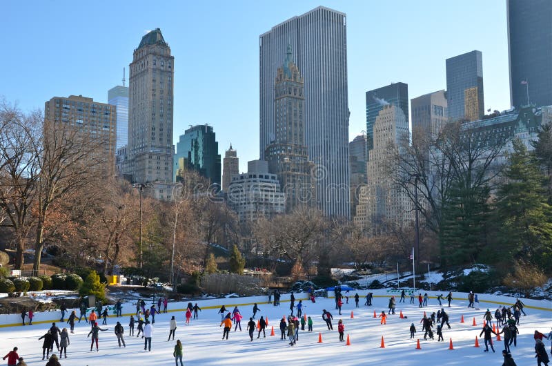 Resultado de imagem para central park no natal