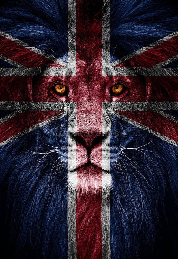 National Animal of Great Britain. Portrait of a Beautiful Lion, Faceart and  Patriotism Concept. Portrait of a Leader, King Stock Photo - Image of animal,  mane: 169177240