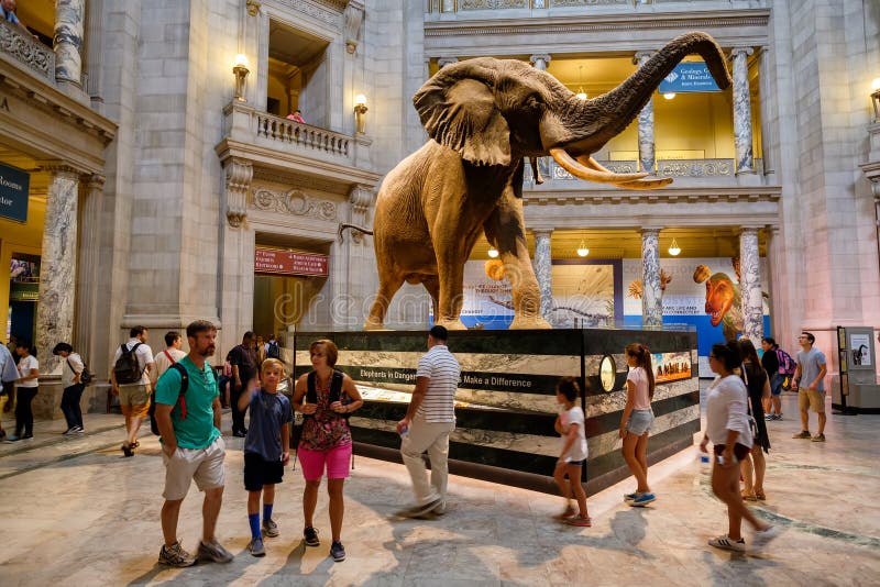 National Museum of Natural History in Washington D.C. WASHINGTON D.C.,USA - AUGUST 11,2016 : Visitors at the Main Hall of the National Museum of Natural History royalty free stock images National Museum of Natural History in Washington D.C. WASHINGTON D.C.,USA - AUGUST 11,2016 : Visitors at the Main Hall of the National Museum of Natural History royalty free stock images