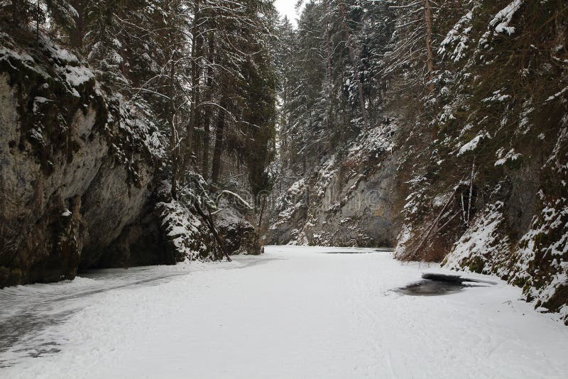 National park Slovak Paradise in winter, Slovakia