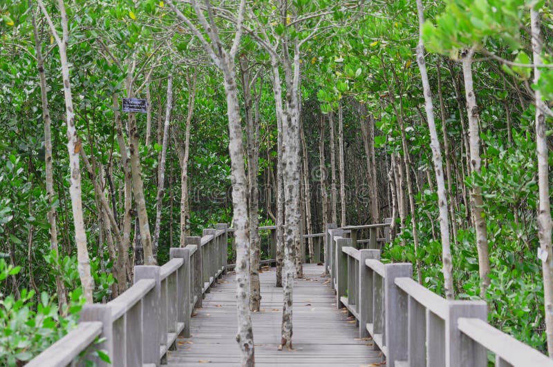 National park in Thailand