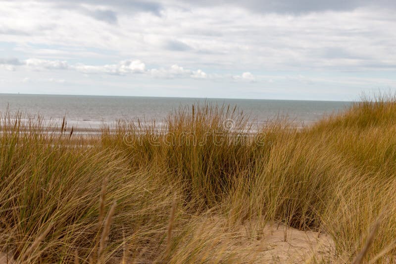 National Trust Beach, Dunes and Woods Formby, UK Stock Image Image
