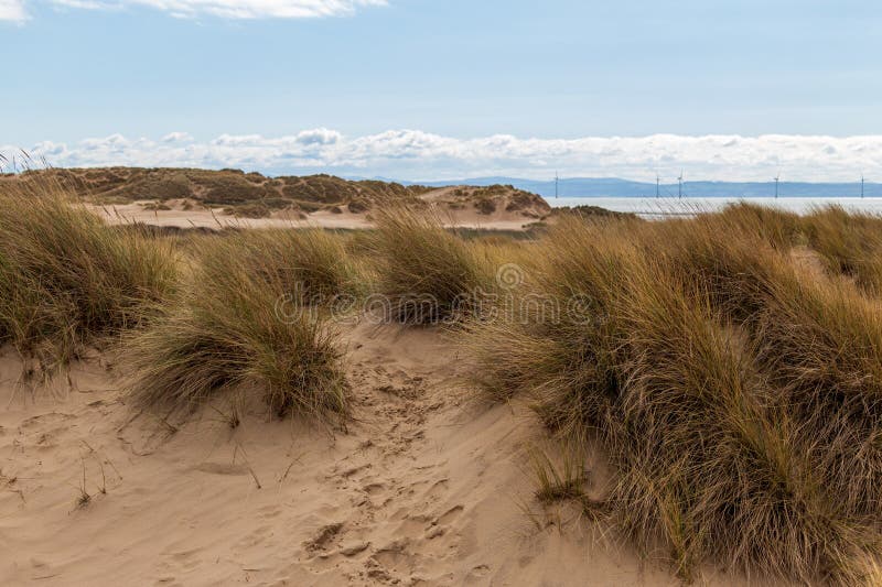 National Trust Beach, Dunes and Woods Formby, UK Stock Photo Image
