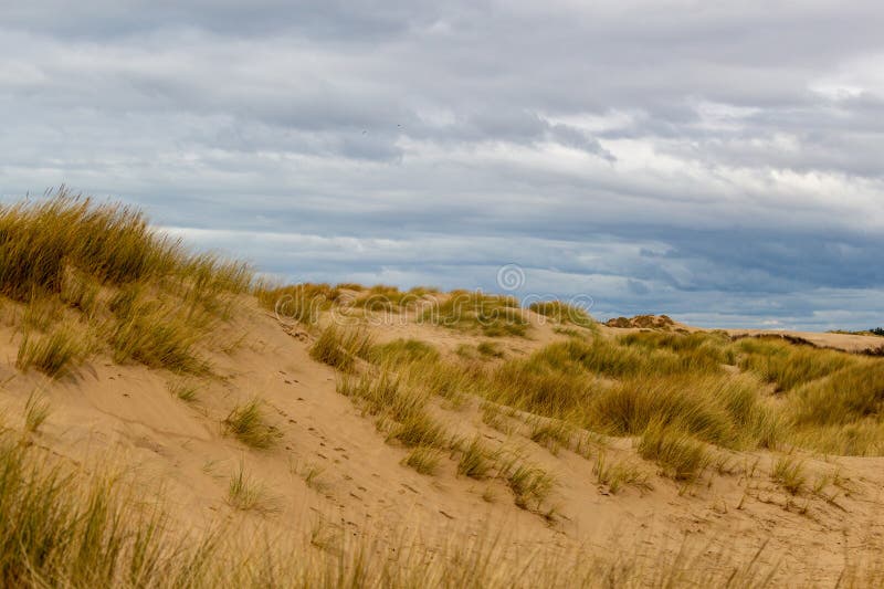 National Trust Beach, Dunes and Woods Formby, UK Stock Photo Image
