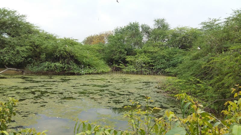 National Zoological Park Delhi India