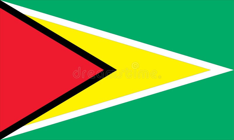 Nationale vlag van Guyana royalty-vrije illustratie