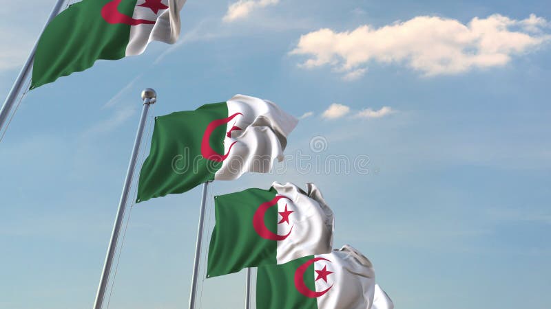 Nationale vlaggen van Algerije het 3d teruggeven vector illustratie Nationale vlaggen van Algerije het 3d teruggeven vector illustratie