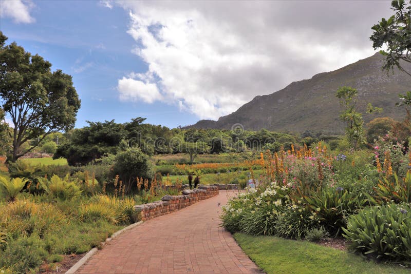 Botanischer Garten Cape Town