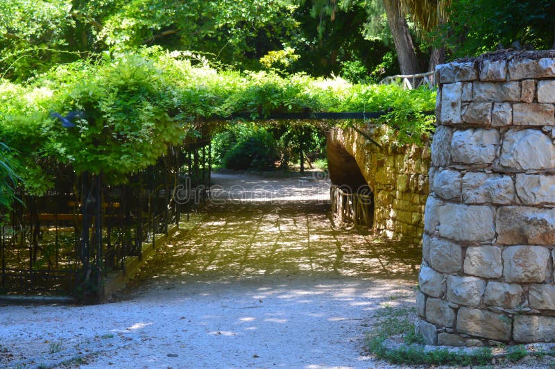 Nationaler Garten Nahe Dem Parlament In Athen