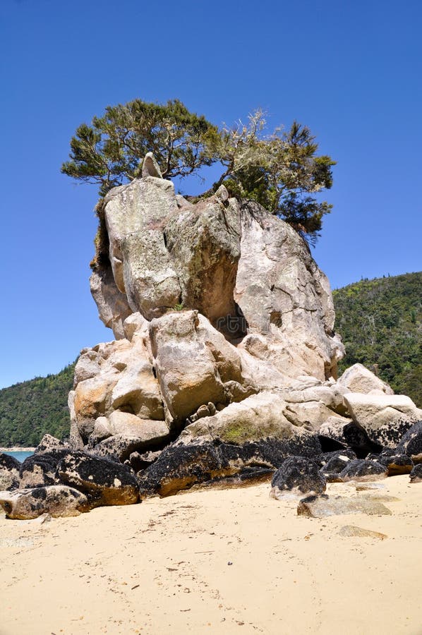 Nationalpark Abel Tasman, Neuseeland stockbilder