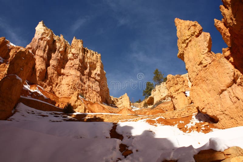 Nationalpark der Bryce Schlucht im Winter, Utah, USA stockbild Nationalpark der Bryce Schlucht im Winter, Utah, USA stockbild
