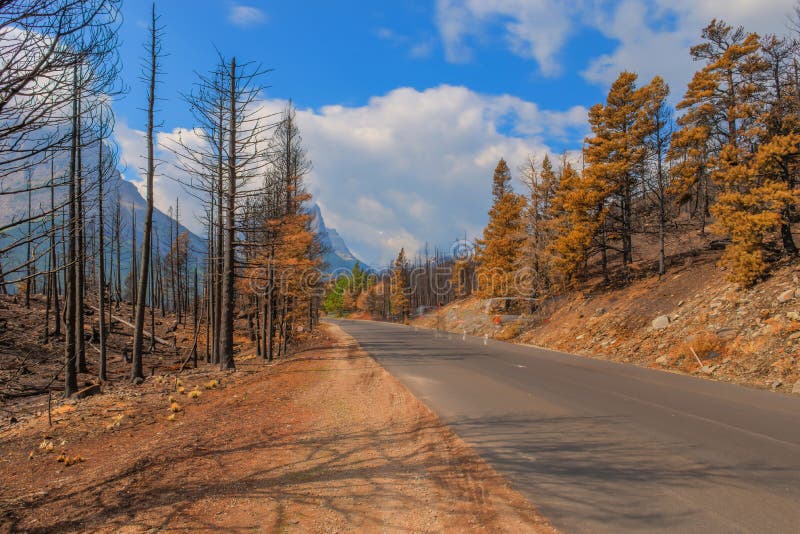 Nationalpark 2015 för efterdyningReynolds Creek Wildland Forest Fire glaciär arkivfoton Nationalpark 2015 för efterdyningReynolds Creek Wildland Forest Fire glaciär arkivfoton