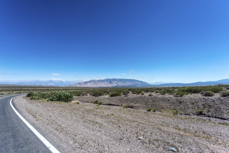 Nationalpark för Los Cardones i Salta, Argentina arkivbilder Nationalpark för Los Cardones i Salta, Argentina arkivbilder