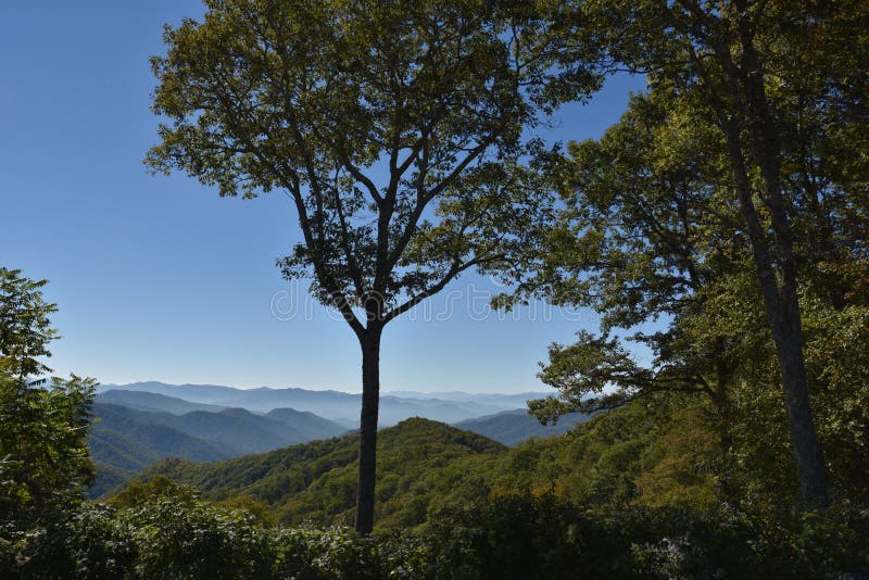 Nationalpark Great Smoky Mountains in Tennessee lizenzfreies stockbild Nationalpark Great Smoky Mountains in Tennessee lizenzfreies stockbild