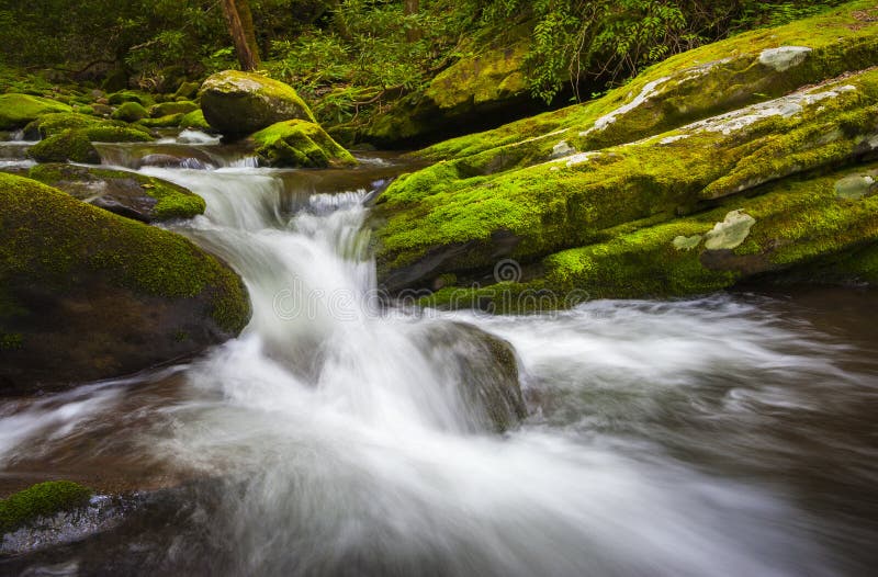 Roaring Fork Great Smoky Mountains National Park Cascade Gatlinburg TN waterfalls in lush green foliage. Roaring Fork Great Smoky Mountains National Park Cascade Gatlinburg TN waterfalls in lush green foliage