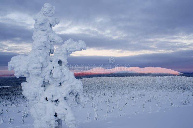 Nationalpark Pallas, Finnland Nationalpark Pallas, Finnland