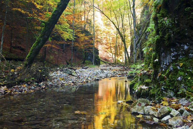 Nationalpark - slowakisches Paradies, Slowakei stockfoto Nationalpark - slowakisches Paradies, Slowakei stockfoto
