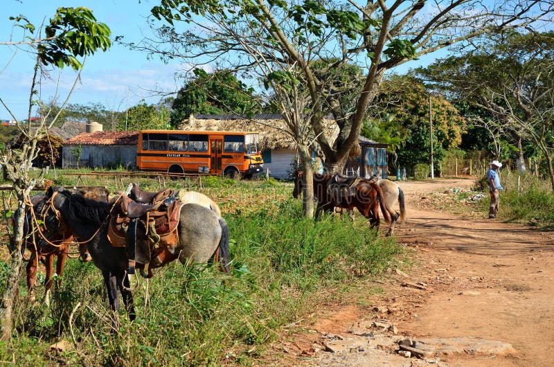 National park Vinales, in Cuba. National park Vinales, in Cuba