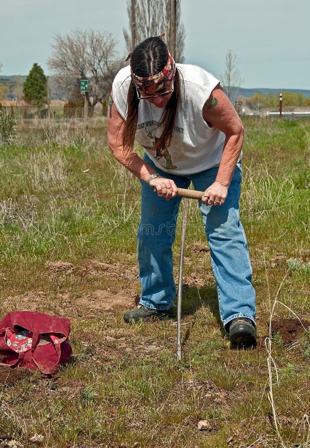 Native American Indian Woman Digging Camas royalty free stock images