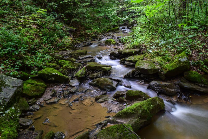 Native Brook Trout Stream. stock photo. Image of natural 74864214