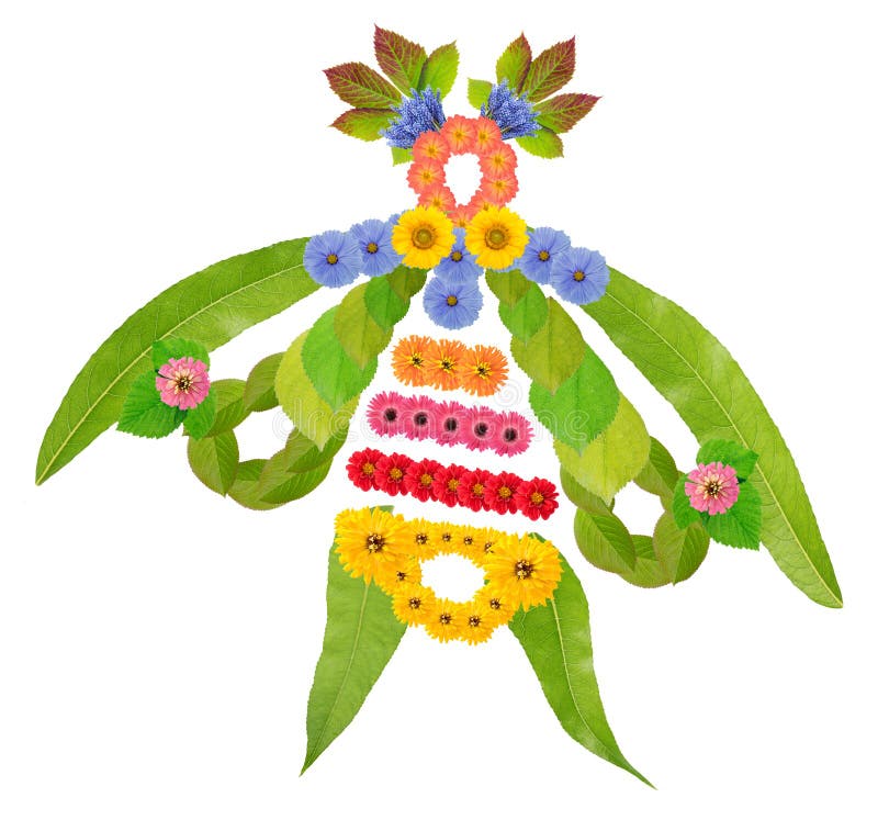 Native old symbol of butterfly from flroqwe and leaves isolated stock photo