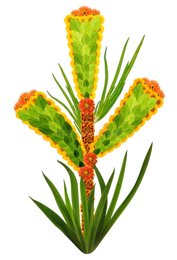 Native symbol of green ear of wheat made from flowers isolated royalty free stock image.