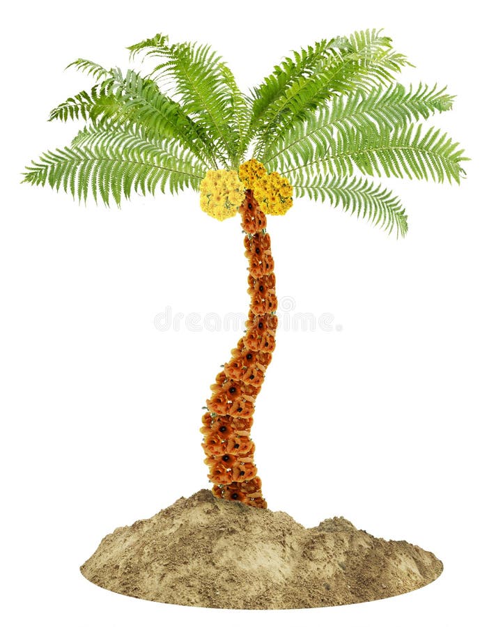 Native symbol of Palm tree made from flowers isolated stock images.