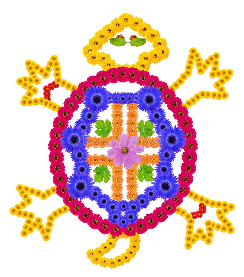 Native symbol- a turtle that symbolizes adaptability, made from flowers isolated stock image