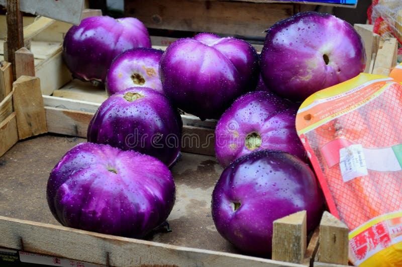 Wooden boxes of large purple italian natoora or round aubergines for sale in the green grocer markets in Siracusa, Sicily. Wooden boxes of large purple italian natoora or round aubergines for sale in the green grocer markets in Siracusa, Sicily.
