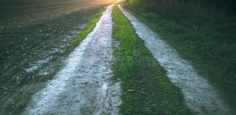 Natte modderige landweg stock foto's