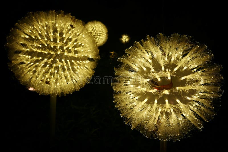 Nattljus är som en dandelion-blomning på natten fotografering för bildbyråer