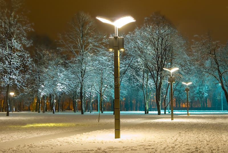 Nattsnöparksruta med lantern arkivfoto