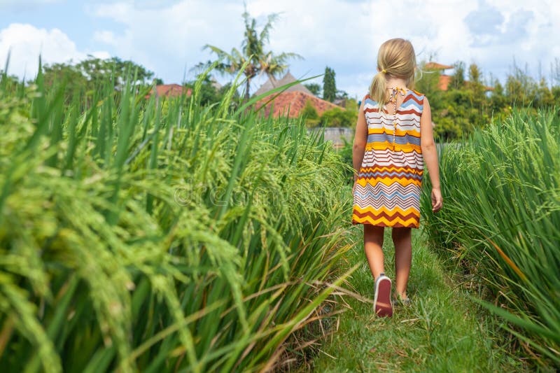 Natur går i grön risterace. Lilla unge som vandrar genom stigen med vacker syn på Bali royaltyfria foton