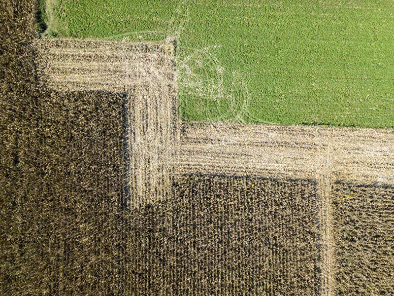 Natur och landskap: Flyg- sikt av ett fält arkivfoto Natur och landskap: Flyg- sikt av ett fält arkivfoto