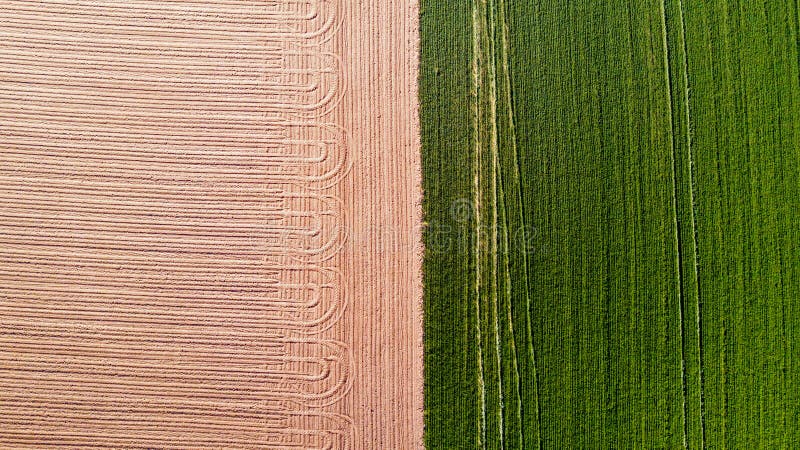 Natur och landskap: flyg- sikt av ett fält, odling, grönt gräs, bygd, lantbruk, royaltyfri fotografi Natur och landskap: flyg- sikt av ett fält, odling, grönt gräs, bygd, lantbruk, royaltyfri fotografi