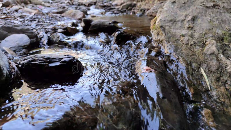 Natur Wasserfall Wald Wasser fließt über Steine.