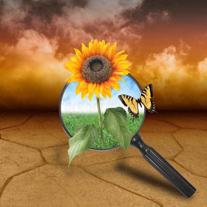 Natur-Wüste mit wachsender Blume der Hoffnung Natur-Wüste mit wachsender Blume der Hoffnung