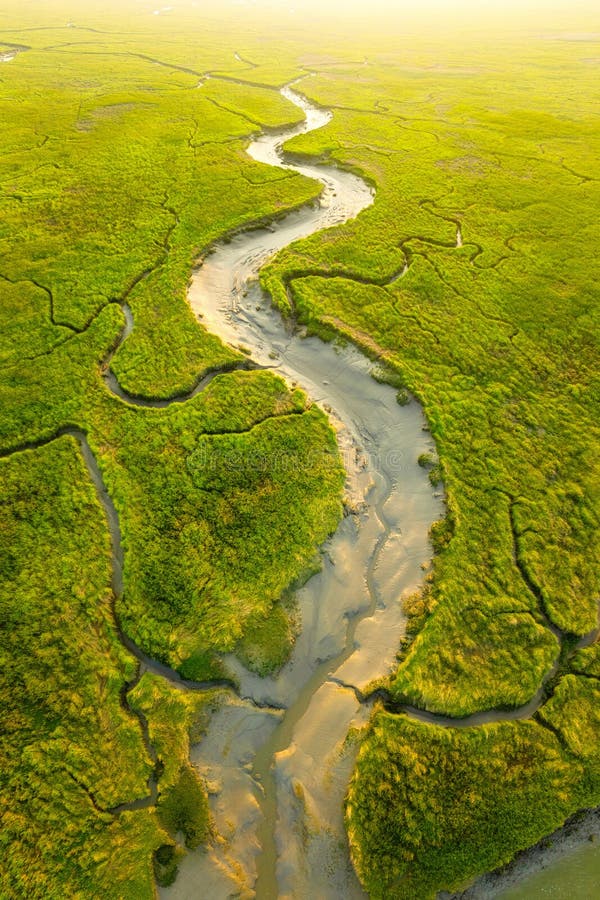 Natura drona. widok z lotu ptaka na rzekę meandrującą na polu. scena z powietrza. zdjęcie stock