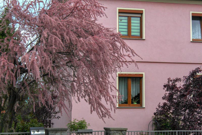 Natura ed architettura a colori l'armonia immagine stock Natura ed architettura a colori l'armonia immagine stock