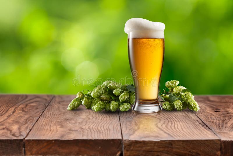 Natura morta con un barile di birra e del luppolo fotografia stock Natura morta con un barile di birra e del luppolo fotografia stock