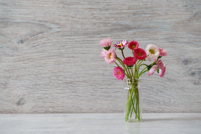 Natura morta creativa di estate nello stile minimo Marg bianco e rosa immagini stock Natura morta creativa di estate nello stile minimo Marg bianco e rosa immagini stock