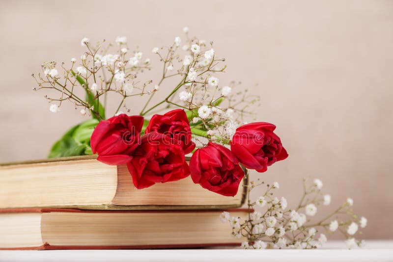 Natura morta d'annata con i tulipani rossi di una molla e libri su un fondo beige Festa della mamma, concetto del giorno delle do immagine stock Natura morta d'annata con i tulipani rossi di una molla e libri su un fondo beige Festa della mamma, concetto del giorno delle do immagine stock