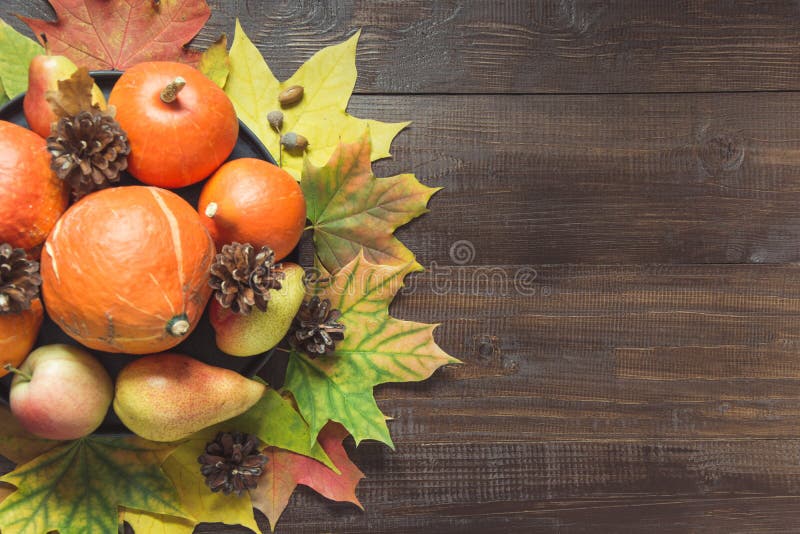 Natura morta di autunno con le foglie variopinte, zucche arancio mature, mele sul bordo di legno Copi lo spazio Vista superiore immagine stock