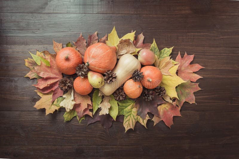 Natura morta di autunno con le foglie variopinte, zucche arancio mature, mele sul bordo di legno Vista da sopra immagine stock