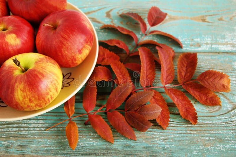 Natura morta di autunno con le mele rosse e gialle su un piatto ceramico e su una gronda asciutta della sorba sui precedenti di l fotografia stock Natura morta di autunno con le mele rosse e gialle su un piatto ceramico e su una gronda asciutta della sorba sui precedenti di l fotografia stock