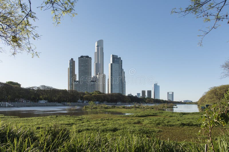 Natura urbana, edifici moderni e una laguna bellissima, nella riserva ecologica di Costanera Sur Natura urbana, edifici moderni e una laguna bellissima, nella riserva ecologica di Costanera Sur