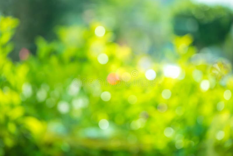 Green bokeh là một hiệu ứng rất đẹp và nó có thể làm bất kỳ bức ảnh nào trở nên lung linh hơn. Ảnh liên quan sẽ đưa bạn đến một thế giới của những đám mây màu xanh lục đẹp mắt.