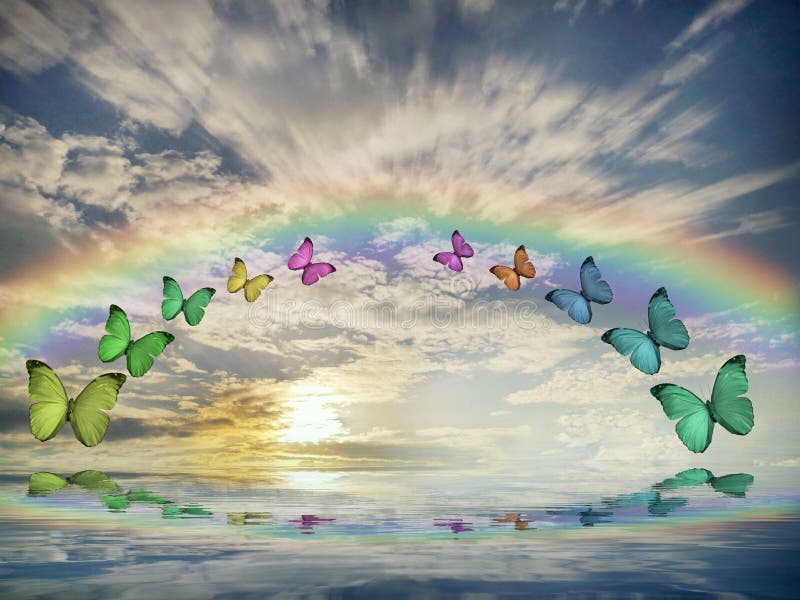 Natural Background with Butterflies Flying and Rainbow in Sea