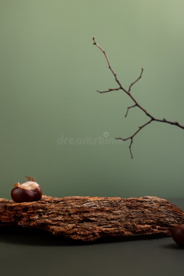 Natural background podium for cosmetic products created from wood, bark and paper on green background. Creative modern royalty free stock image
