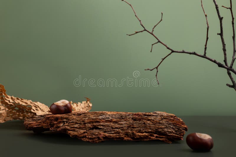 Natural background podium for cosmetic products created from wood, bark and paper on green background. Creative modern stock photos